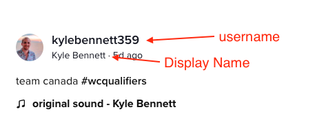 tiktok_username_explainer.png