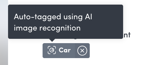 ai-image-auto-tag.png